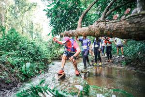 BIB: 
                            <button type="button" onclick="openModal(25515416)" class="btn btn-primary btn-sm float-right btn-popup" data-toggle="modal" data-target=".modal-high-quality">
                        <i class="fas fa-shopping-cart"></i> Add to Cart
                    </button>
                                            <button type="button" onclick="isThisMe(25515416, true)" class="btn btn-success btn-sm float-right btn-popup btn-isme hidden" data-toggle="tooltip" data-placement="bottom" title="นี่คือรูปของคุณใช่ไหม คลิกที่นี่เพื่อเอาเข้าอัลบั้ม">
                        <i class="fas fa-plus"></i> Add to album
                    </button>
                    <button type="button" onclick="isThisMe(25515416, false)" class="btn btn-warning btn-sm float-right btn-popup btn-isnotme hidden">
                        <i class="fas fa-ban"></i> Remove from album
                    </button>